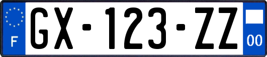 GX-123-ZZ