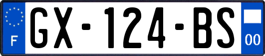 GX-124-BS
