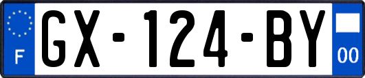 GX-124-BY