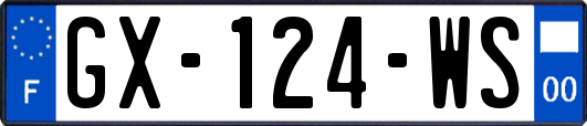 GX-124-WS