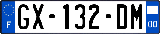 GX-132-DM