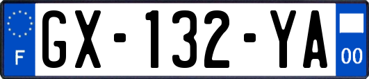 GX-132-YA
