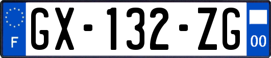 GX-132-ZG