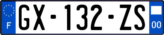 GX-132-ZS