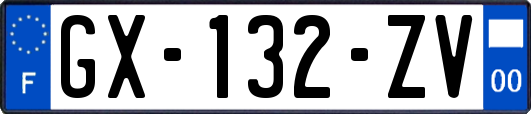GX-132-ZV