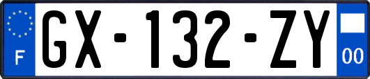 GX-132-ZY