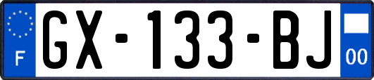 GX-133-BJ