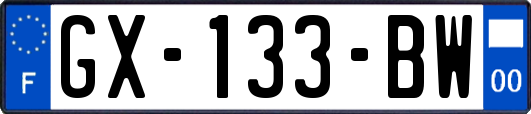 GX-133-BW