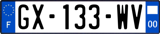 GX-133-WV