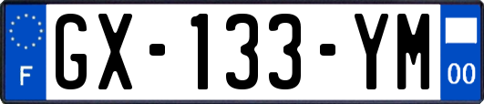 GX-133-YM