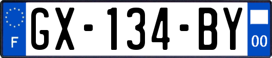 GX-134-BY