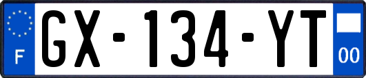 GX-134-YT