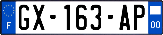 GX-163-AP