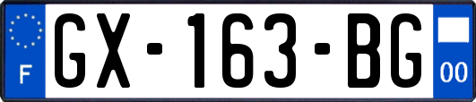 GX-163-BG