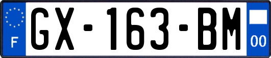 GX-163-BM