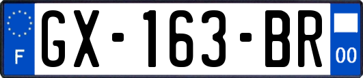 GX-163-BR