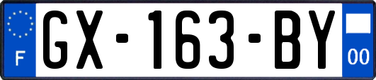 GX-163-BY