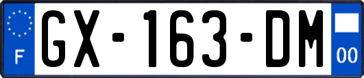 GX-163-DM