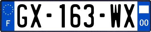 GX-163-WX