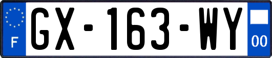 GX-163-WY