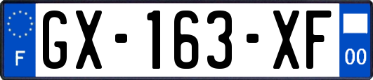 GX-163-XF