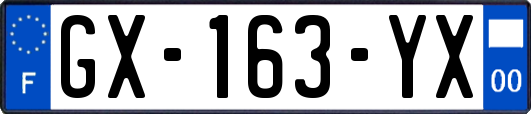 GX-163-YX