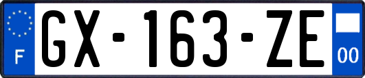 GX-163-ZE