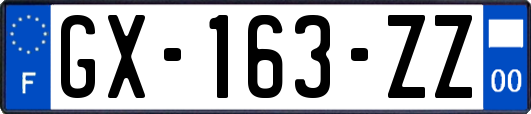 GX-163-ZZ