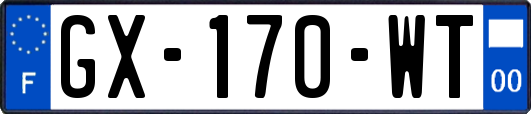 GX-170-WT