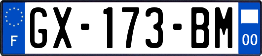 GX-173-BM