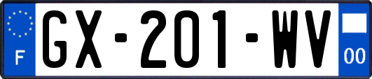 GX-201-WV