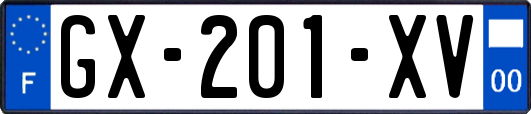GX-201-XV
