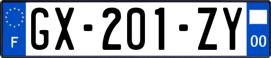 GX-201-ZY