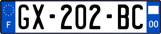 GX-202-BC