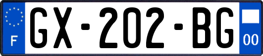 GX-202-BG