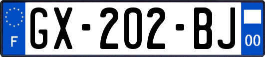 GX-202-BJ
