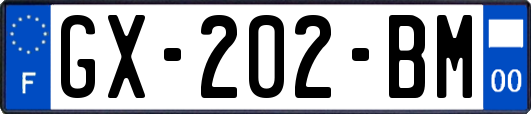 GX-202-BM