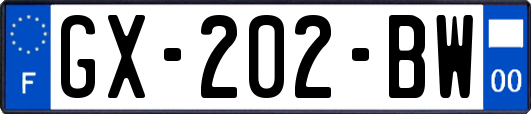 GX-202-BW