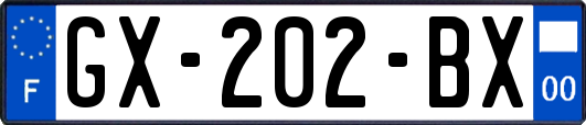 GX-202-BX