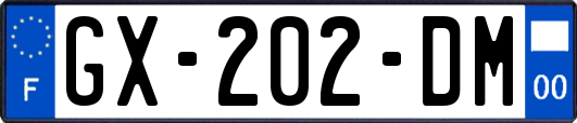GX-202-DM