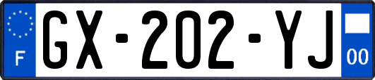 GX-202-YJ