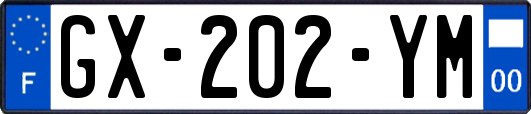 GX-202-YM