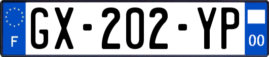 GX-202-YP