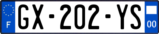 GX-202-YS