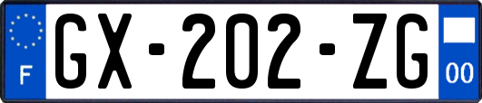 GX-202-ZG