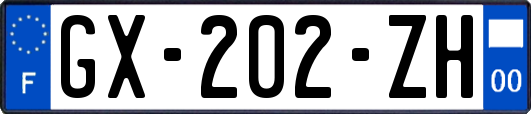 GX-202-ZH