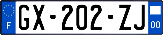 GX-202-ZJ