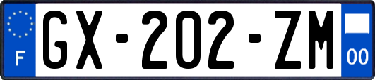 GX-202-ZM