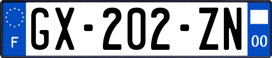 GX-202-ZN
