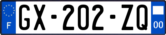 GX-202-ZQ